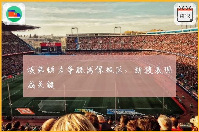 埃弗顿力争脱离保级区，新援表现成关键